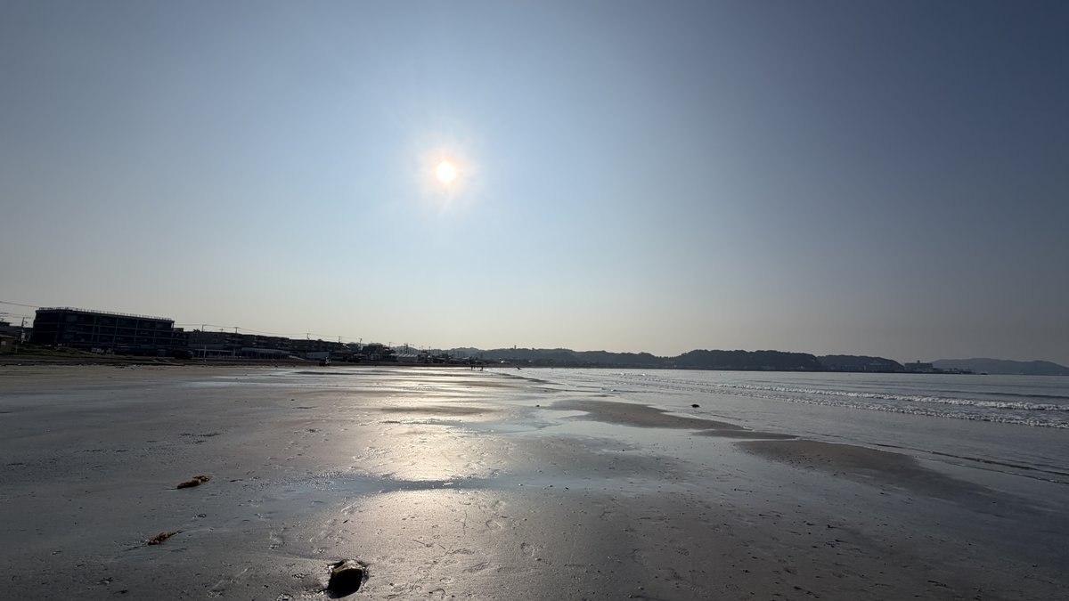 夏の朝の海岸