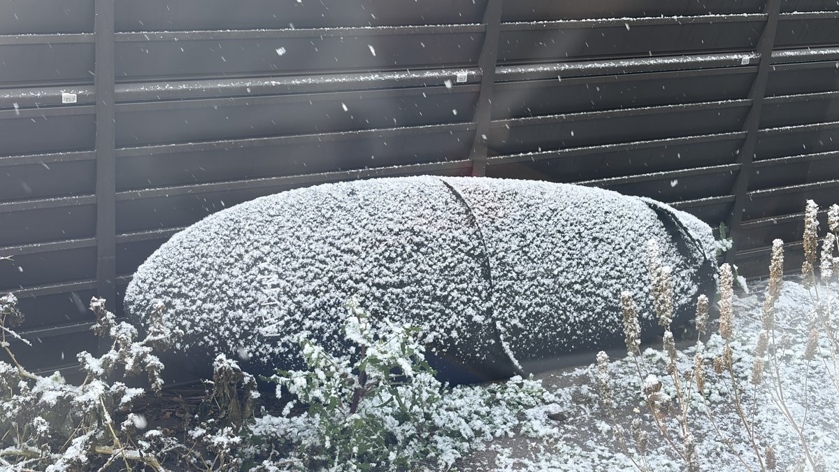 雪をかぶったサーフボード