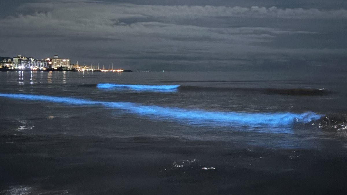 鎌倉・由比ヶ浜で青く光る夜光虫の波